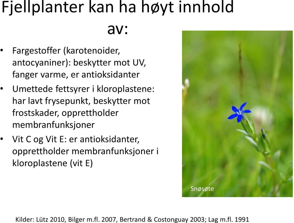 frostskder, opprettholder membrnfunksjoner Vit C og Vit E: er ntioksidnter, opprettholder