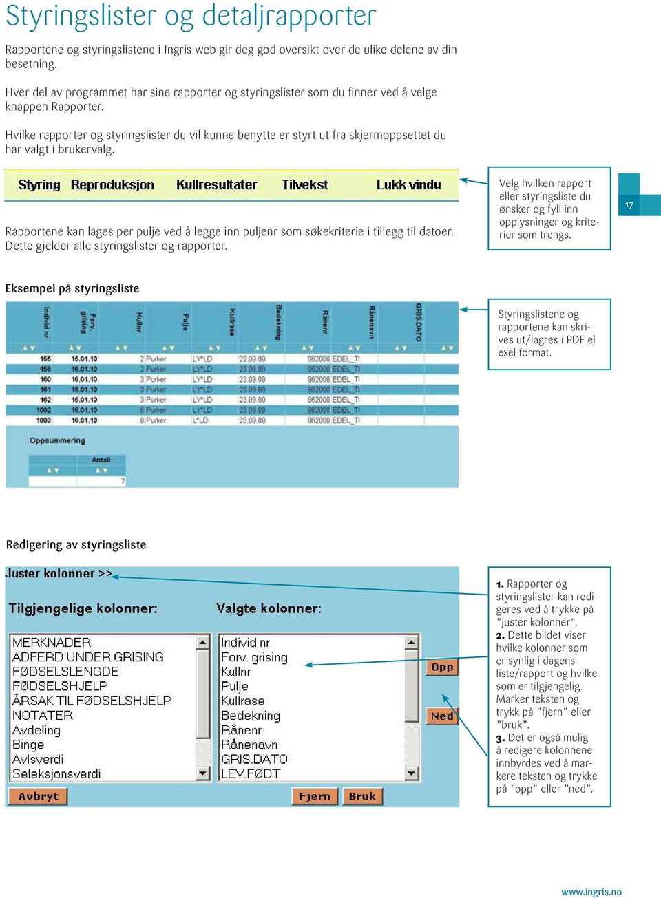 Hvilke rapporter og styringslister du vil kunne benytte er styrt ut fra skjermoppsettet du har valgt i brukervalg.