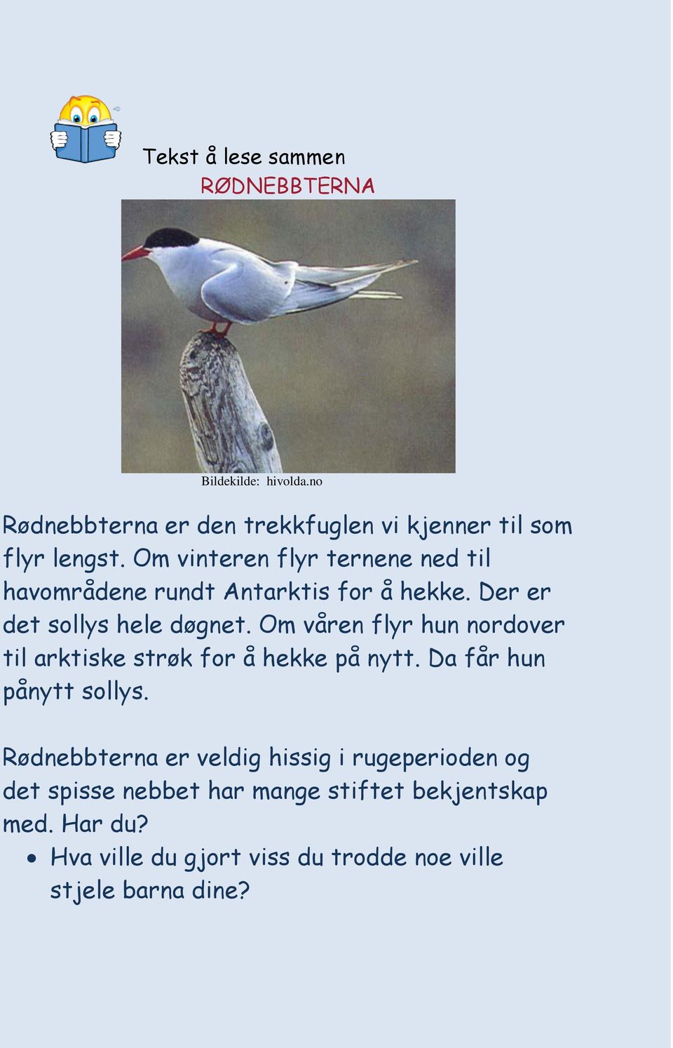 Om våren flyr hun nordover til arktiske strøk for å hekke på nytt. Da får hun pånytt sollys.