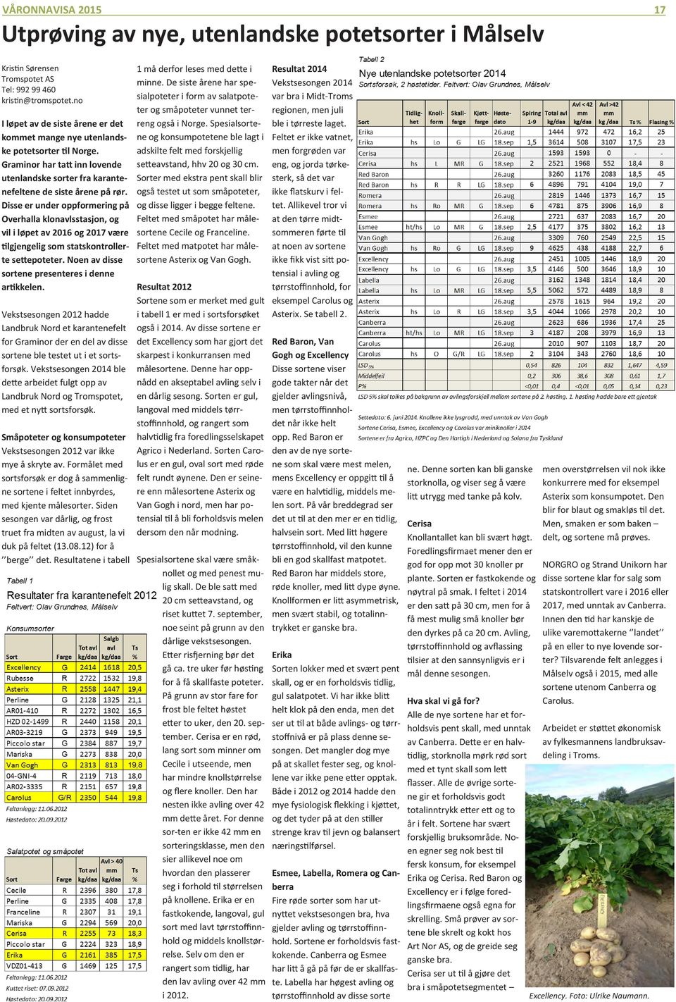 Disse er under oppformering på Overhalla klonavlsstasjon, og vil i løpet av 2016 og 2017 være tilgjengelig som statskontrollerte settepoteter. Noen av disse sortene presenteres i denne artikkelen.