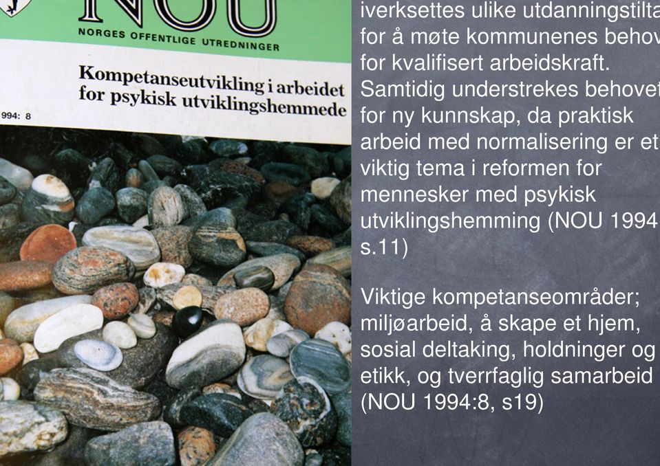 tema i reformen for mennesker med psykisk utviklingshemming (NOU 1994: s.