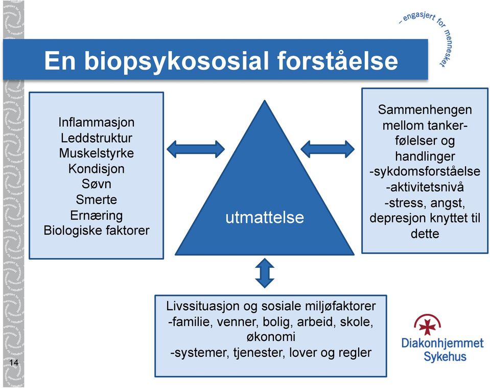 -sykdomsforståelse -aktivitetsnivå -stress, angst, depresjon knyttet til dette 14 Livssituasjon