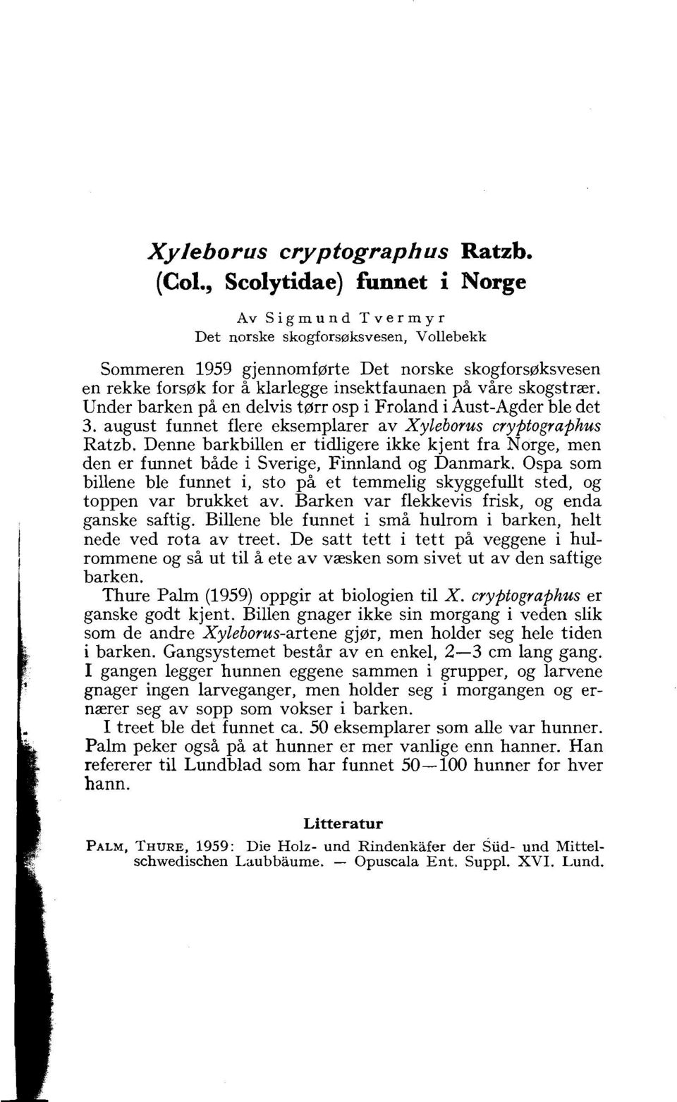 skogstraer. Under barken pii en delvis t0rr osp i Froland i Aust-Agder ble det 3. august funnet flere eksemplarer av Xyleborus cryptographus Ratzb.