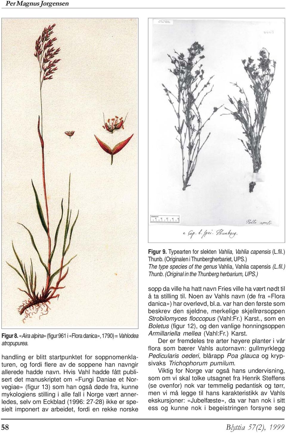 Hvis Vahl hadde fått publisert det manuskriptet om «Fungi Daniae et Norvegiae» (figur 13) som han også døde fra, kunne mykologiens stilling i alle fall i Norge vært annerledes, selv om Eckblad (1996: