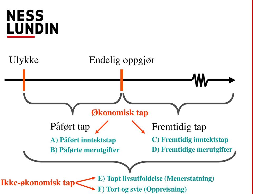 inntektstap D) Fremtidige merutgifter Ikke-økonomisk tap E)