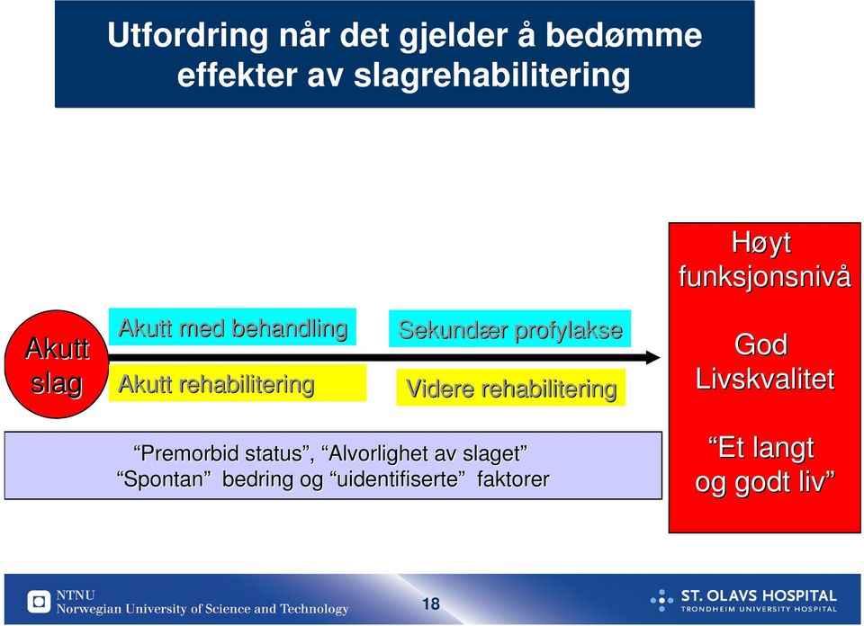 r profylakse Videre rehabilitering God Livskvalitet Premorbid status,