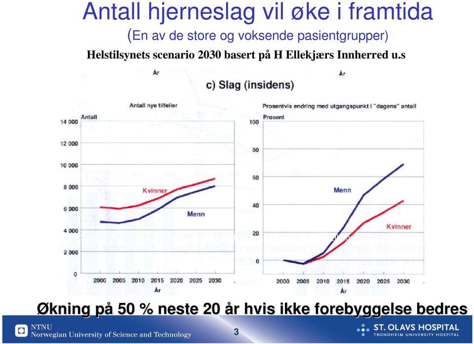 Ellekjærs 