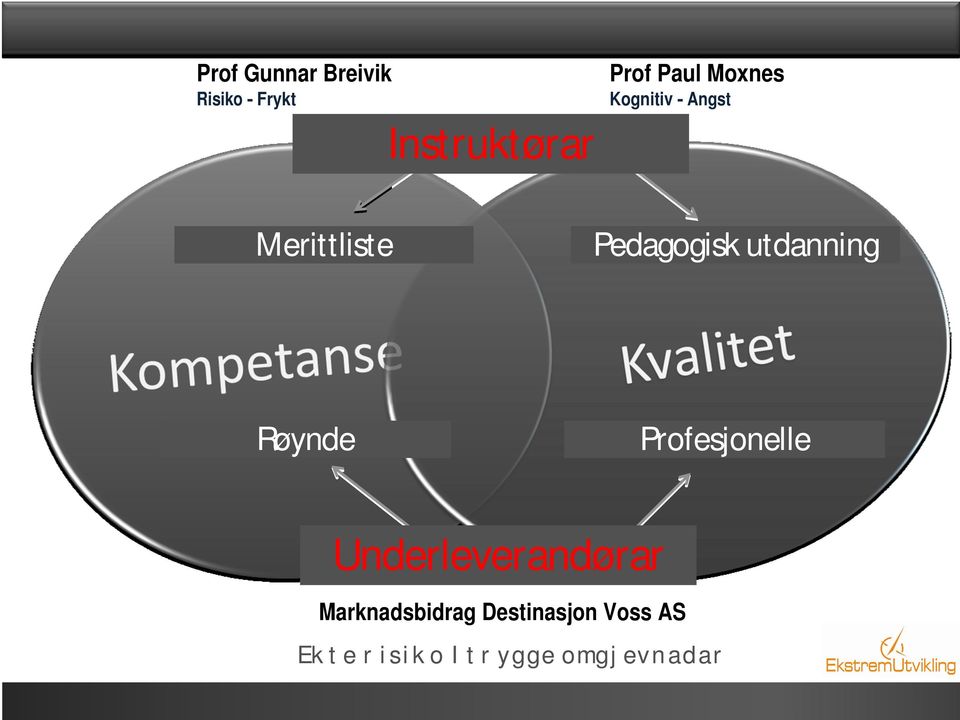 Røynde Profesjonelle Underleverandørar Marknadsbidrag