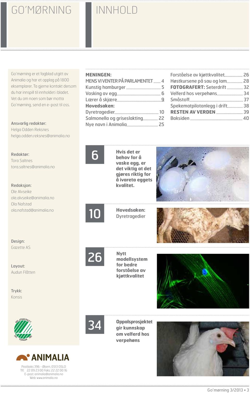 no Meningen: Mens vi venter på parlamentet 4 Kunstig hamburger 5 Vasking av egg 6 Lærer å skjære 9 Hovedsaken: Dyretragedier 10 Salmonella og griseslakting 22 Nye navn i Animalia 25 Forståelse av