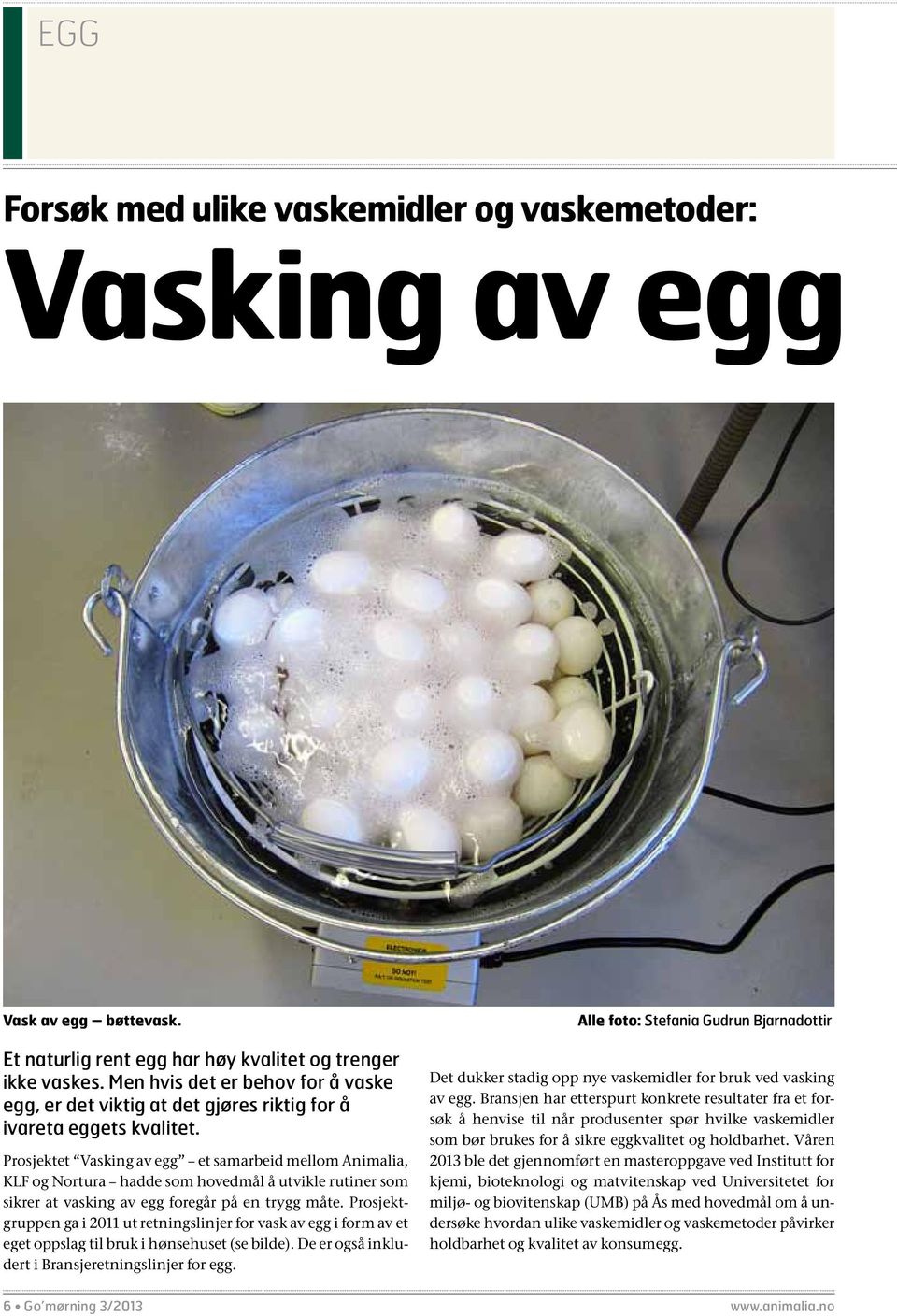 Prosjektet Vasking av egg et samarbeid mellom Animalia, KLF og Nortura hadde som hovedmål å utvikle rutiner som sikrer at vasking av egg foregår på en trygg måte.