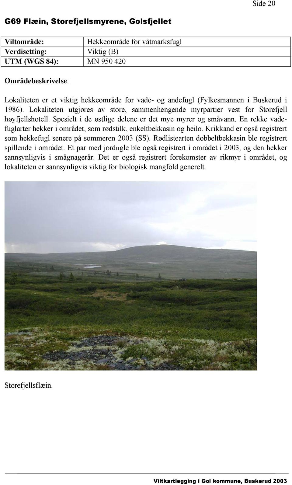En rekke vadefuglarter hekker i området, som rødstilk, enkeltbekkasin og heilo. Krikkand er også registrert som hekkefugl senere på sommeren 2003 (SS).