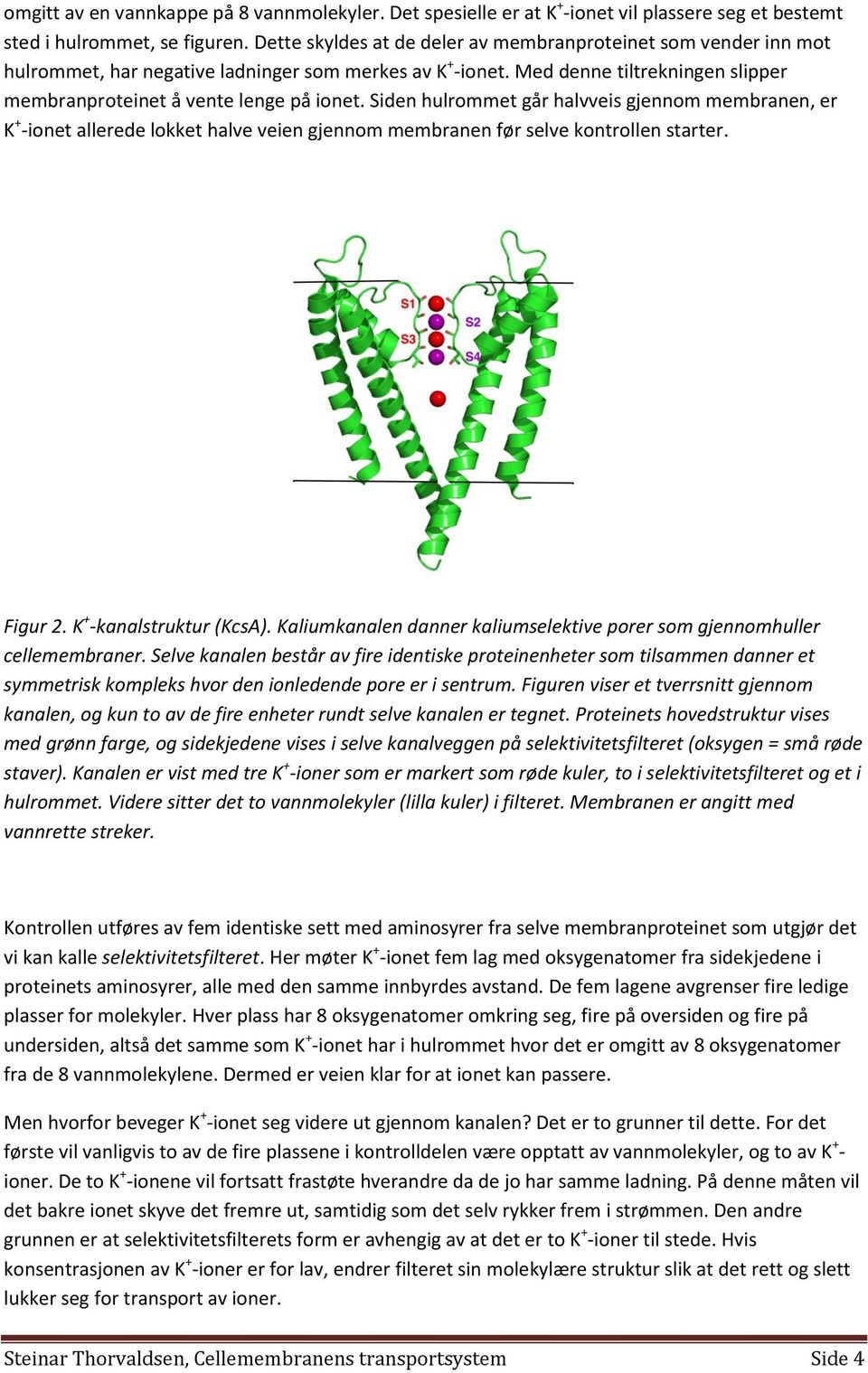 Siden hulrommet går halvveis gjennom membranen, er K + -ionet allerede lokket halve veien gjennom membranen før selve kontrollen starter. Figur 2. K + -kanalstruktur (KcsA).