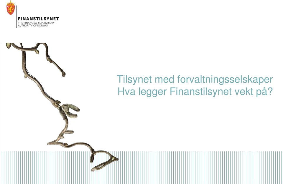 legger Finanstilsynet vekt