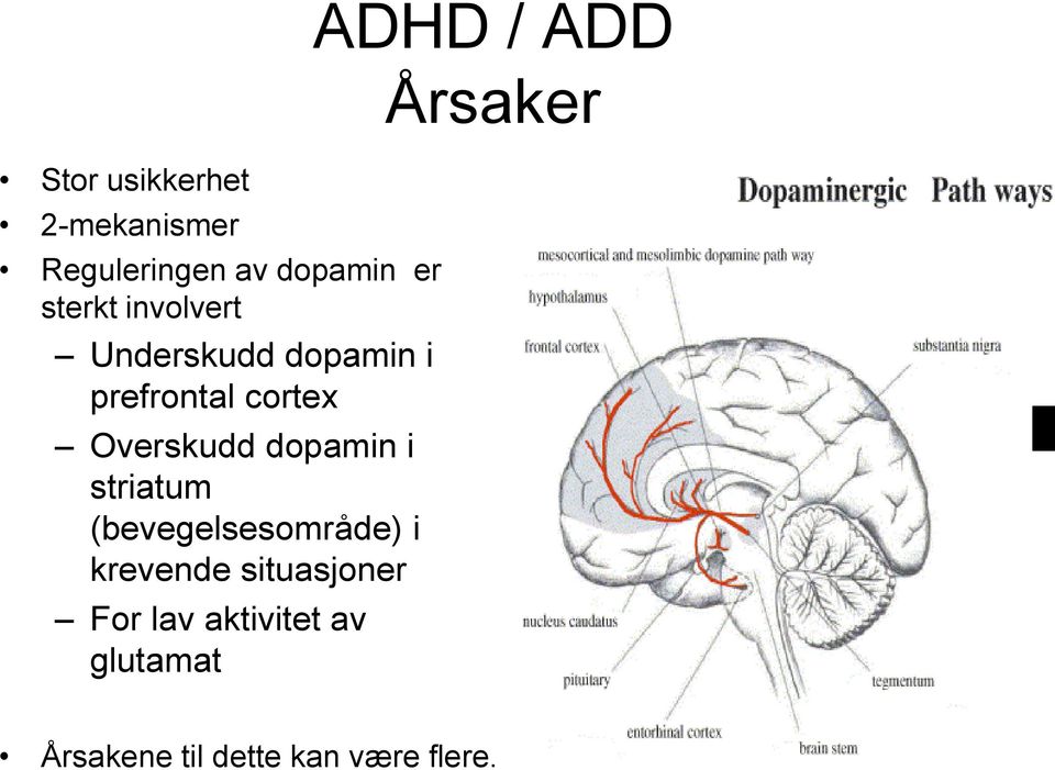 i striatum (bevegelsesområde) i krevende situasjoner For lav aktivitet av