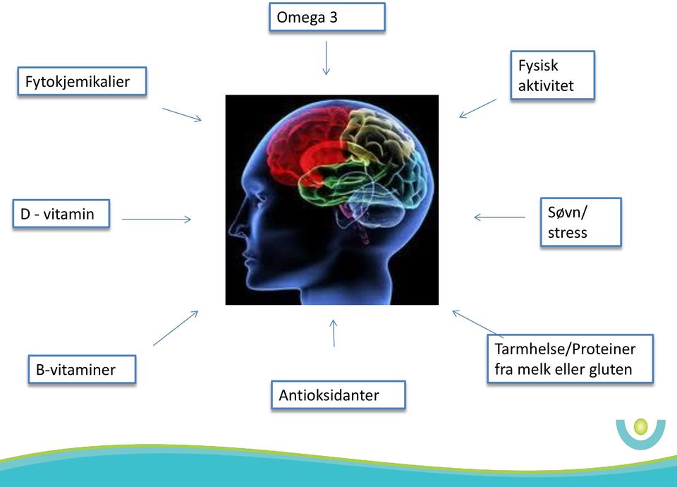 stress B-vitaminer Antioksidanter