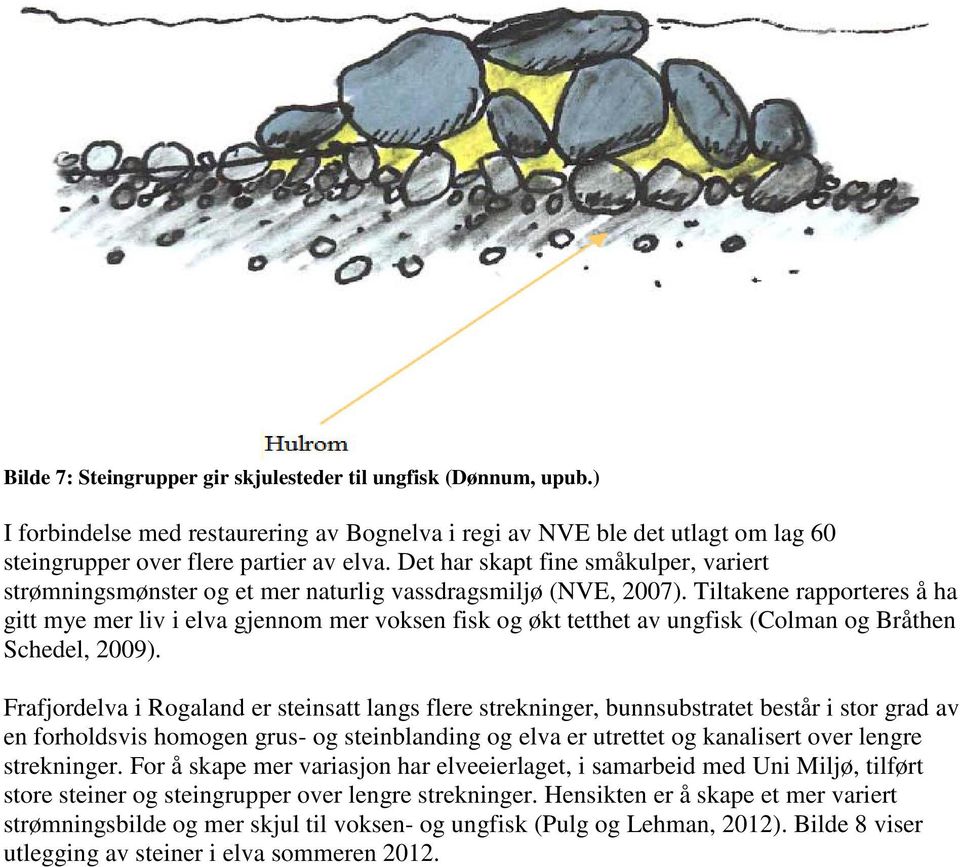 Tiltakene rapporteres å ha gitt mye mer liv i elva gjennom mer voksen fisk og økt tetthet av ungfisk (Colman og Bråthen Schedel, 2009).