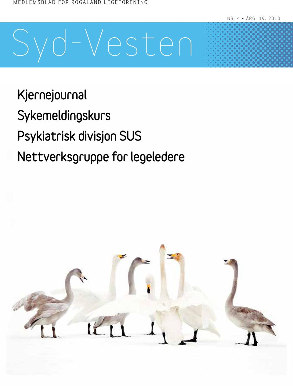 2013 Syd-Vesten Kjernejournal