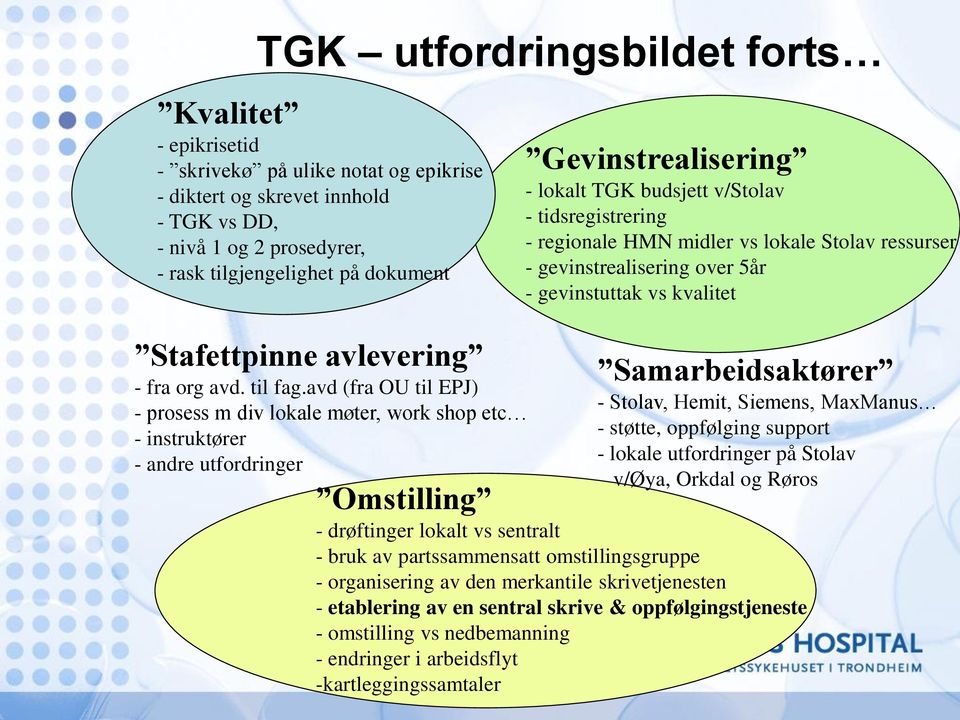 avd (fra OU til EPJ) - prosess m div lokale møter, work shop etc - instruktører - andre utfordringer Gevinstrealisering - lokalt TGK budsjett v/stolav - tidsregistrering - regionale HMN midler vs