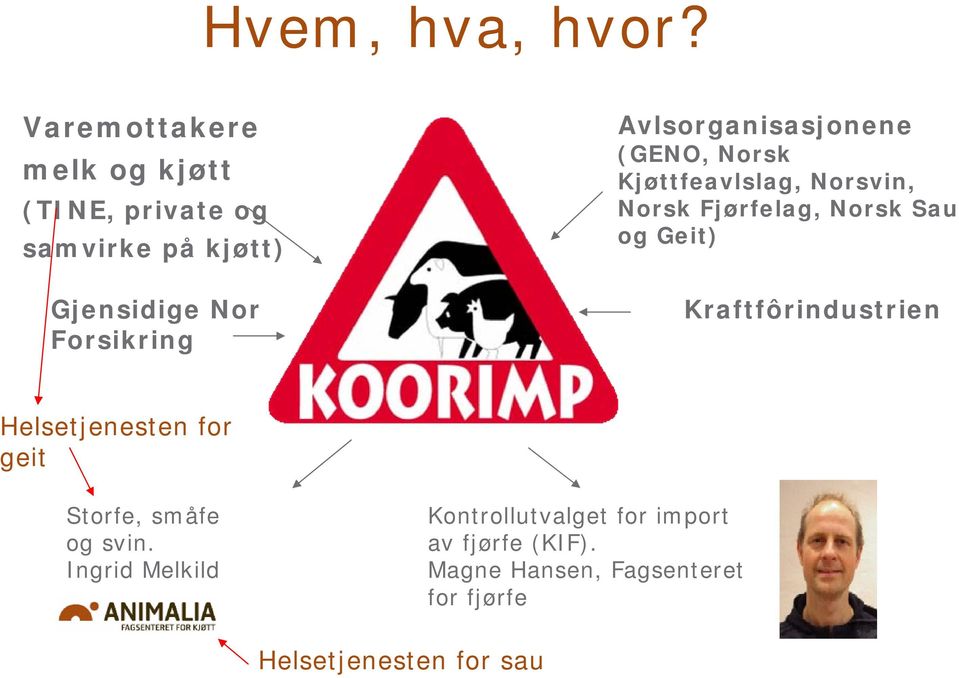 Avlsorganisasjonene (GENO, Norsk Kjøttfeavlslag, Norsvin, Norsk Fjørfelag, Norsk Sau og Geit)