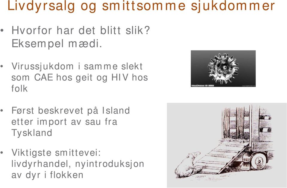 Virussjukdom i samme slekt som CAE hos geit og HIV hos folk Først