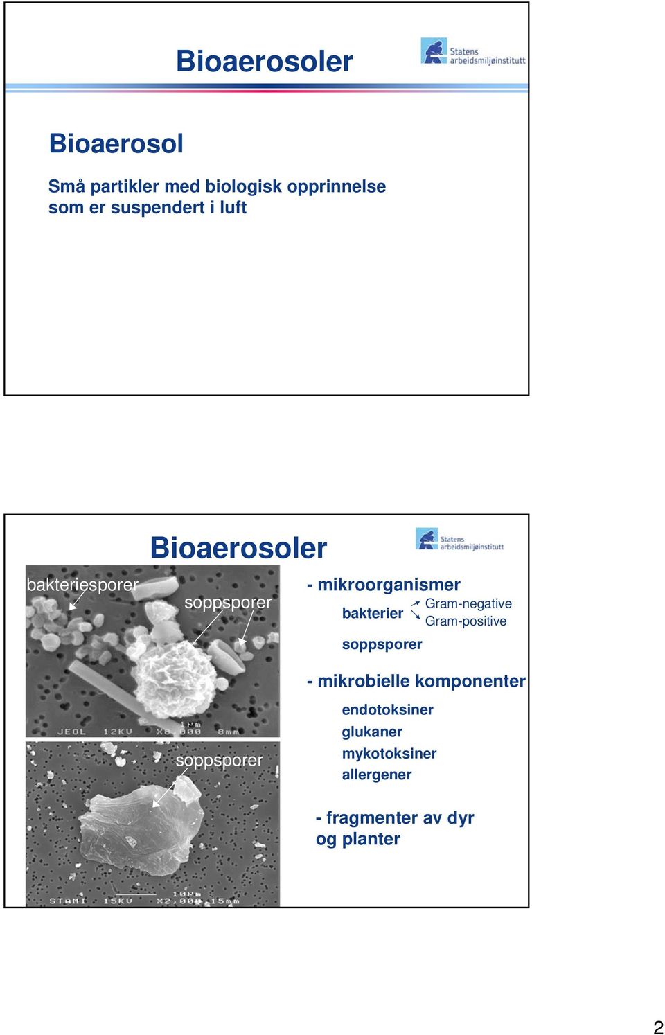 Gram-negative bakterier Gram-positive soppsporer soppsporer - mikrobielle