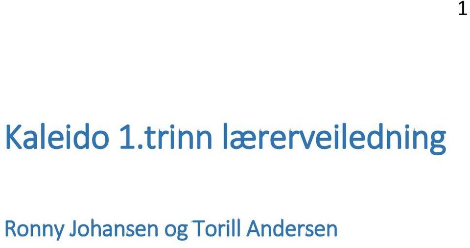 lærerveiledning