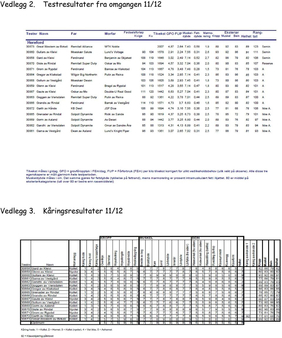 omgangen 11/12