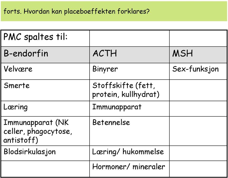 Læring Immunapparat (NK celler, phagocytose, antistoff) Blodsirkulasjon