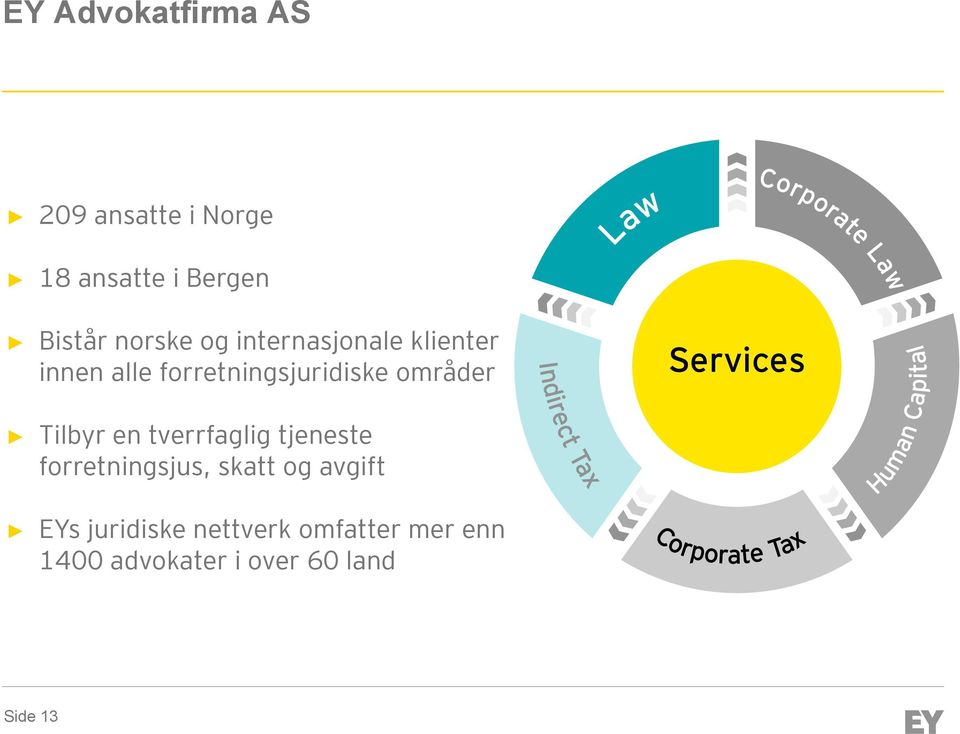 Services Tilbyr en tverrfaglig tjeneste forretningsjus, skatt og avgift