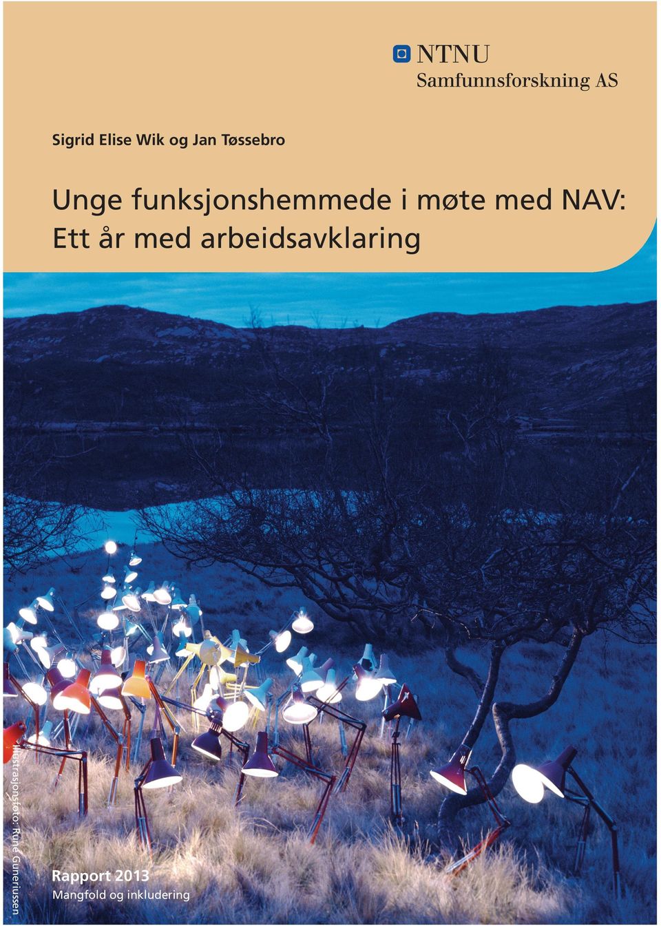 no Rapport 2013 Dragvoll allé 38 B 7491 Trondheim Norge Unge funksjonshemmede i møte med NAV: Ett år