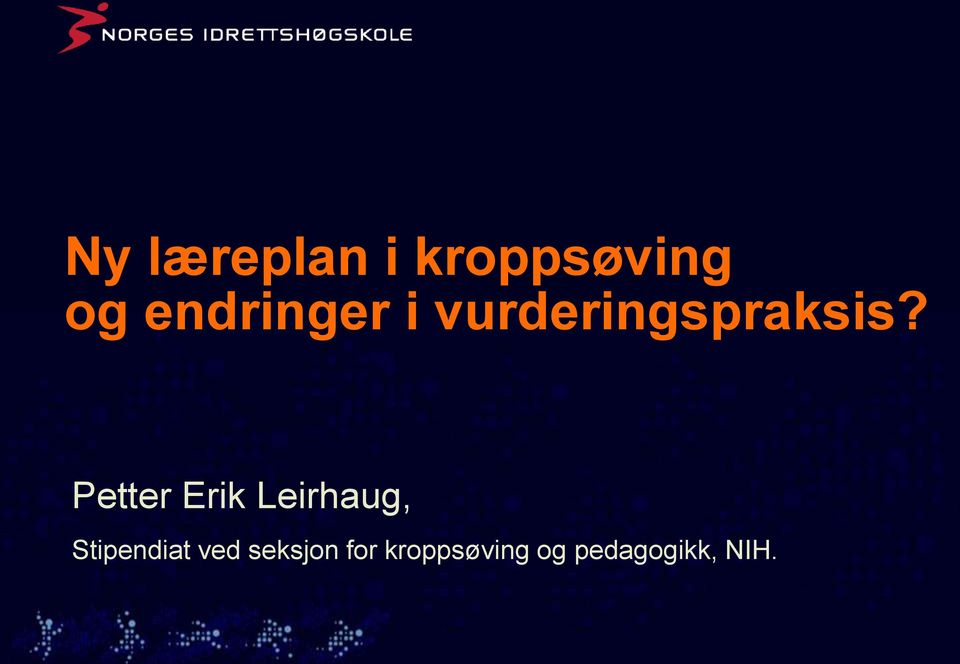 Petter Erik Leirhaug, Stipendiat