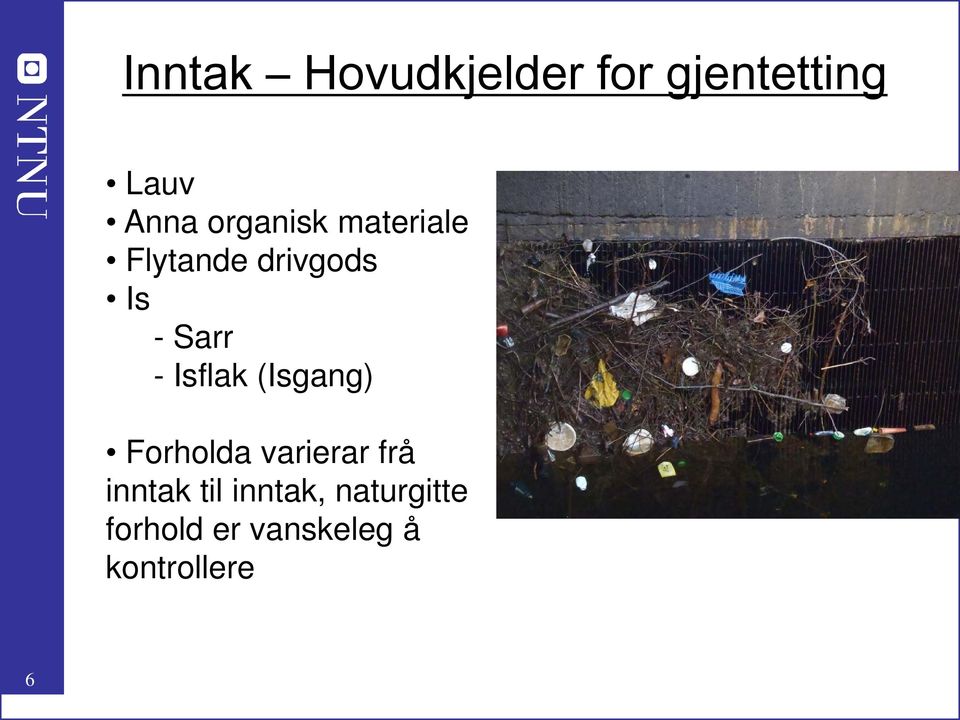 Isflak (Isgang) Forholda varierar frå inntak til