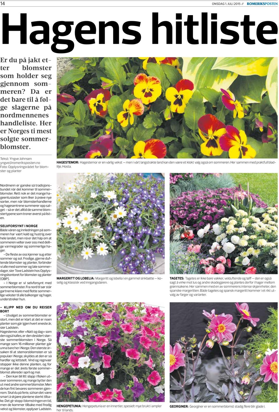 no Foto: Opplysningsrådet for blomster og planter HAGESTEMOR: Hagestemor er en vårlig vekst men i vårt langstrakte land kan den være et klokt valg også om sommeren.