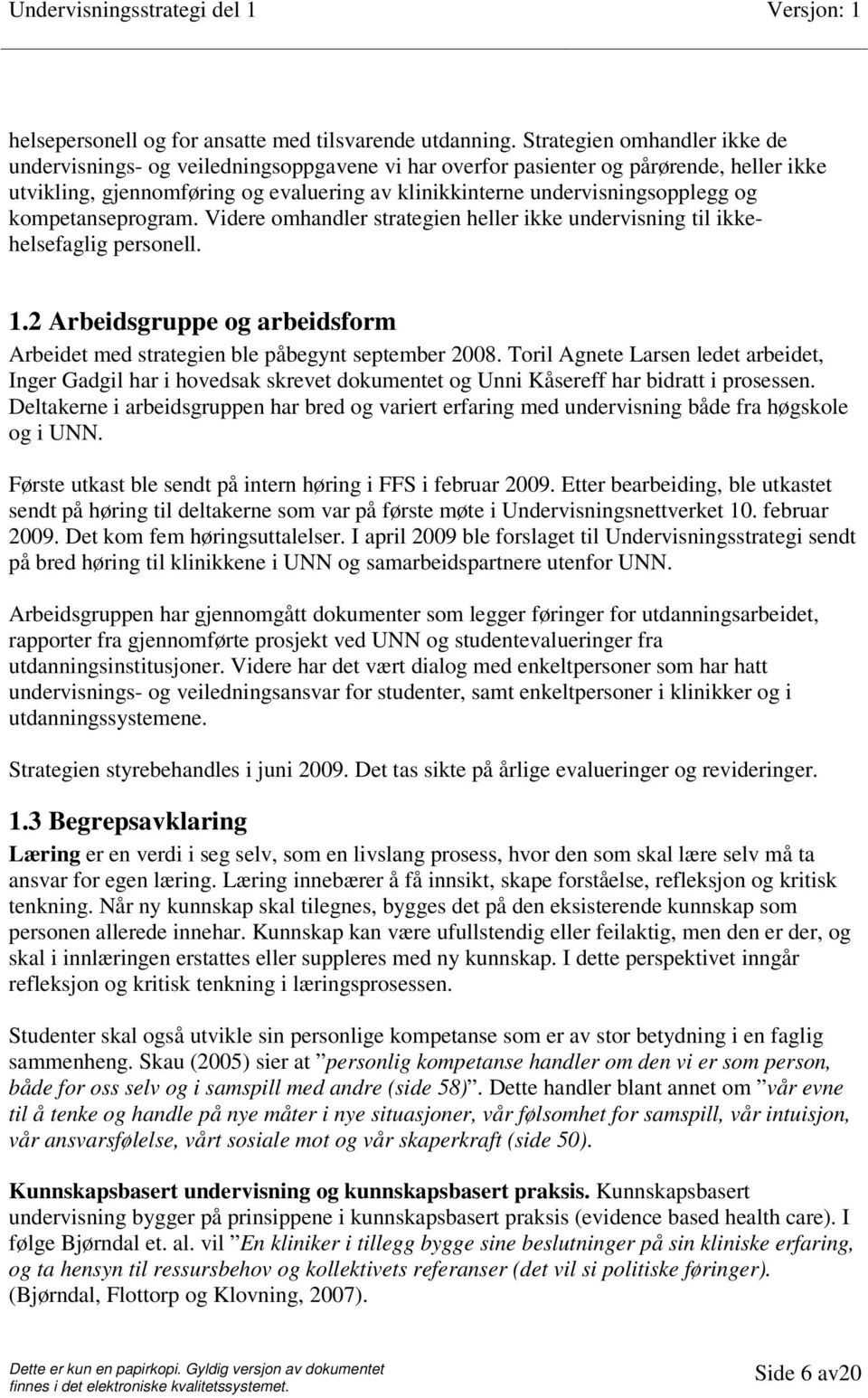 kompetanseprogram. Videre omhandler strategien heller ikke undervisning til ikkehelsefaglig personell. 1.2 Arbeidsgruppe og arbeidsform Arbeidet med strategien ble påbegynt september 2008.