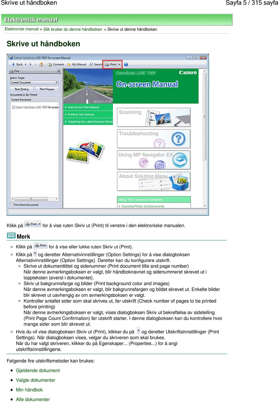 Klikk på og deretter Alternativinnstillinger (Option Settings) for å vise dialogboksen Alternativinnstillinger (Option Settings). Deretter kan du konfigurere utskrift.