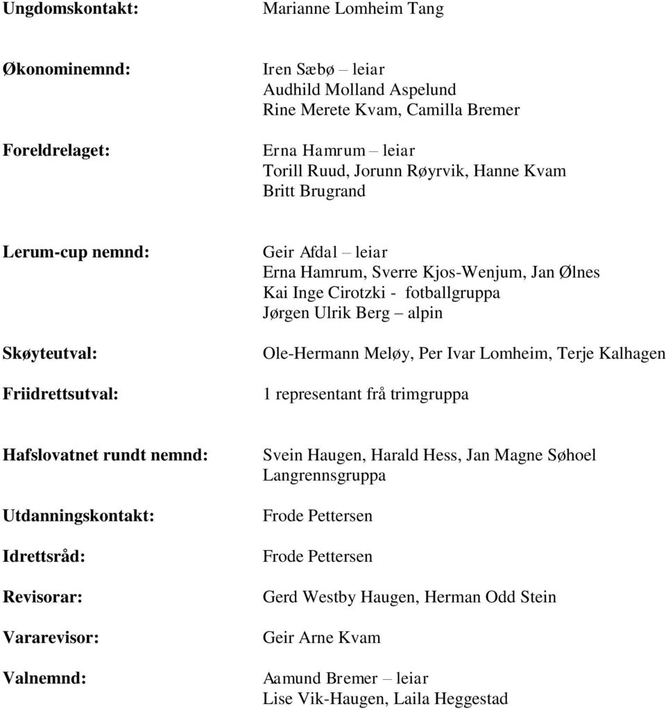 Ulrik Berg alpin Ole-Hermann Meløy, Per Ivar Lomheim, Terje Kalhagen 1 representant frå trimgruppa Hafslovatnet rundt nemnd: Utdanningskontakt: Idrettsråd: Revisorar: Vararevisor: