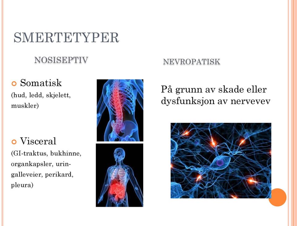 dysfunksjon av nervevev Visceral (GI-traktus,