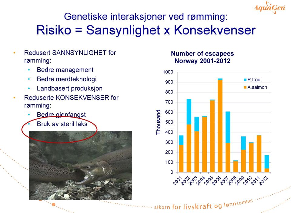 produksjon Reduserte KONSEKVENSER for rømming: Bedre gjenfangst Bruk av steril laks