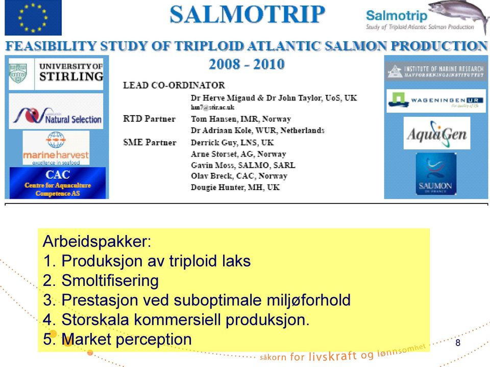 Smoltifisering 3.