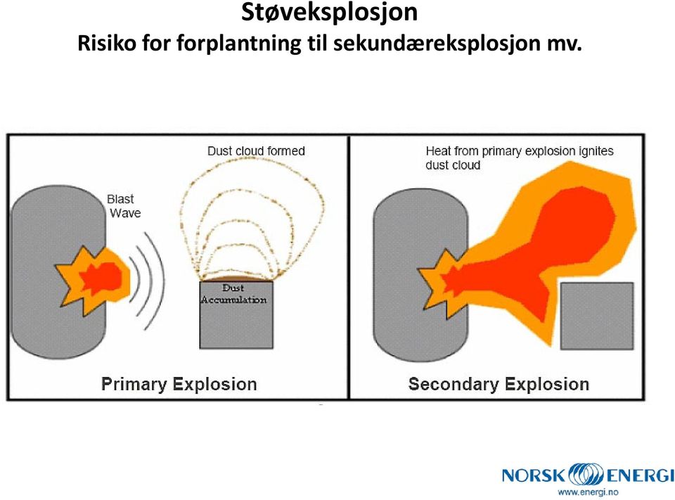 forplantning til