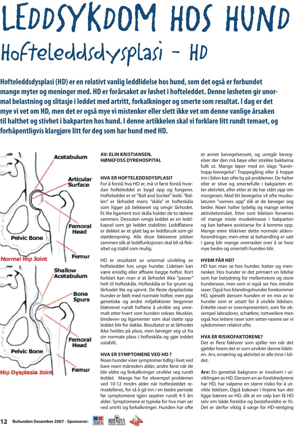 I dag er det mye vi vet om HD, men det er også mye vi mistenker eller slett ikke vet om denne vanlige årsaken til halthet og stivhet i bakparten hos hund.