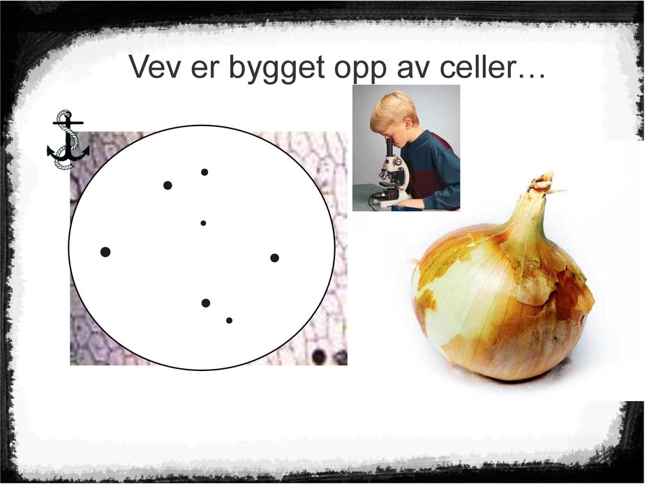 opp av