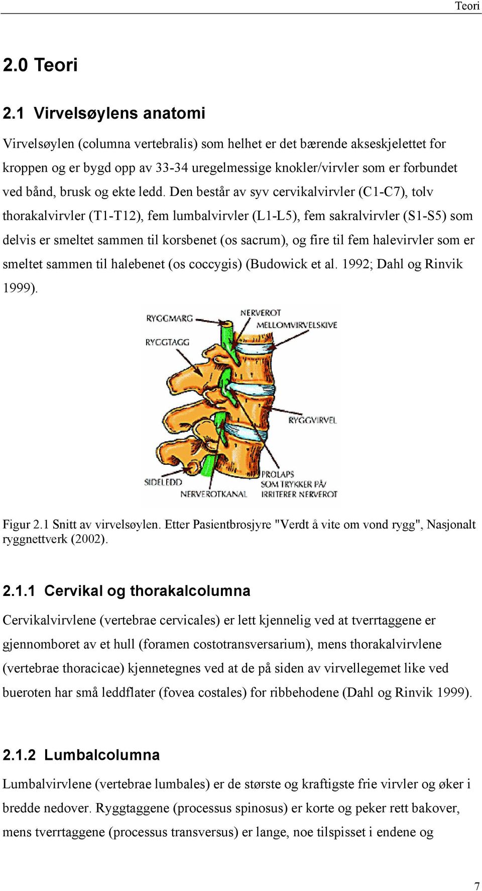 og ekte ledd.