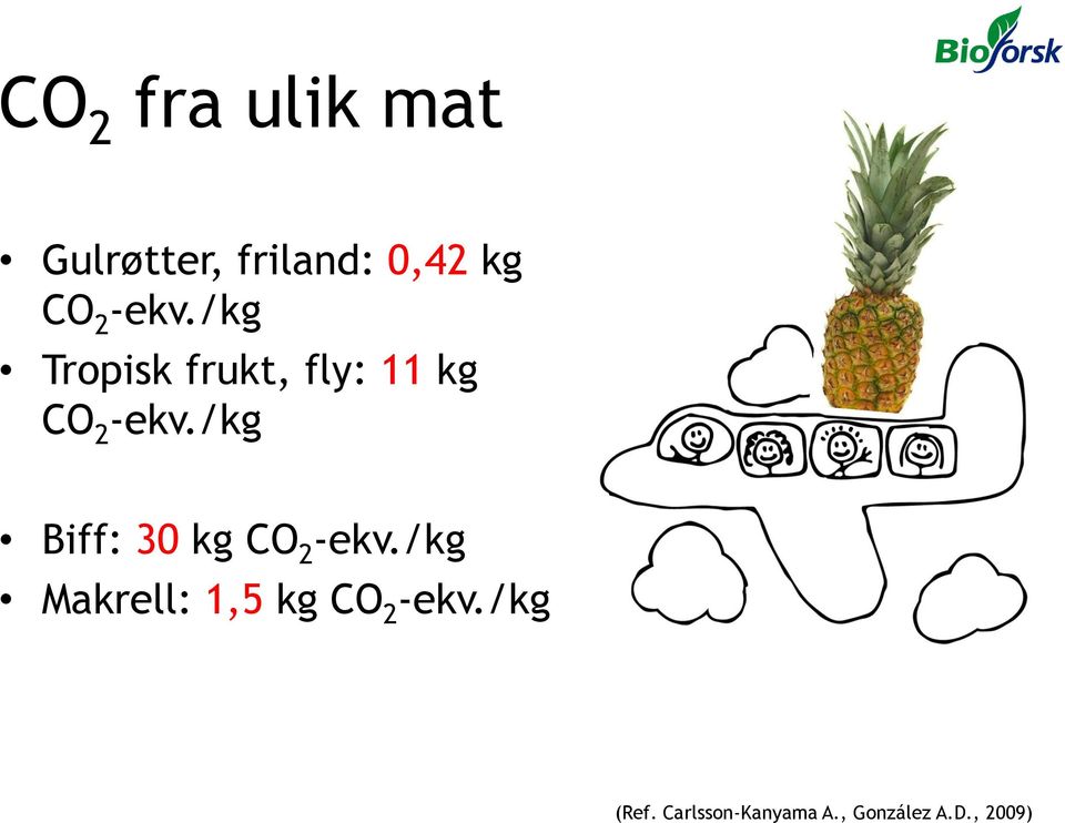 /kg Biff: 30 kg CO 2 -ekv.