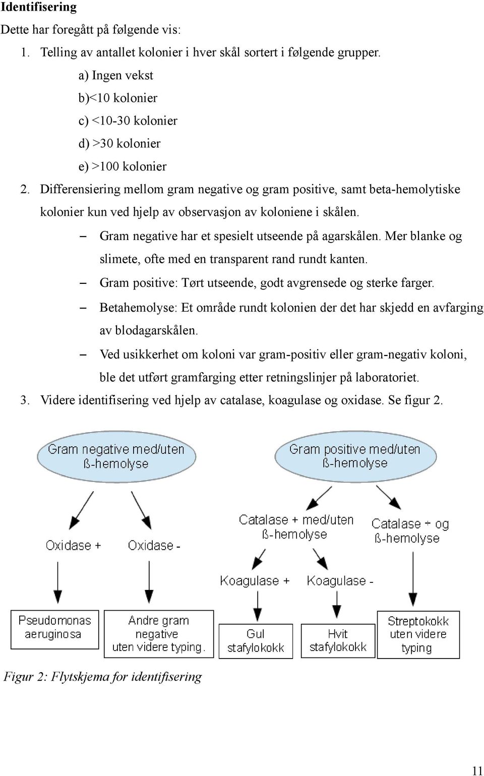 Differensiering mellom gram negative og gram positive, samt beta-hemolytiske kolonier kun ved hjelp av observasjon av koloniene i skålen. Gram negative har et spesielt utseende på agarskålen.