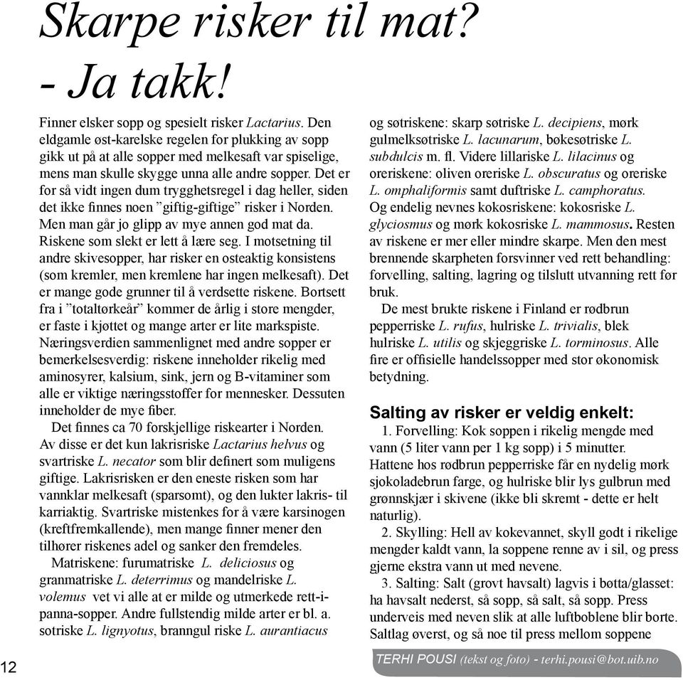 Det er for så vidt ingen dum trygghetsregel i dag heller, siden det ikke finnes noen giftig-giftige risker i Norden. Men man går jo glipp av mye annen god mat da. Riskene som slekt er lett å lære seg.