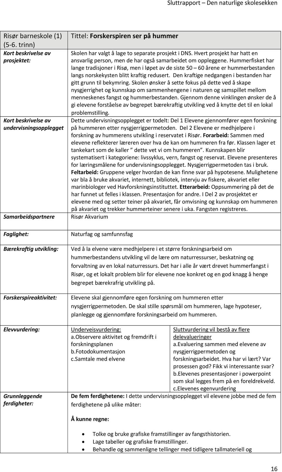 valgt å lage to separate prosjekt i DNS. Hvert prosjekt har hatt en ansvarlig person, men de har også samarbeidet om oppleggene.