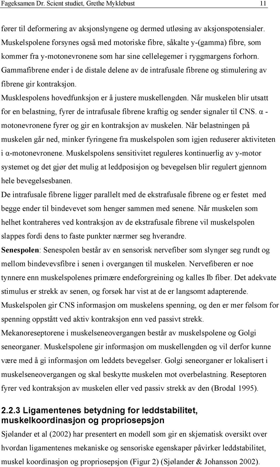 Gammafibrene ender i de distale delene av de intrafusale fibrene og stimulering av fibrene gir kontraksjon. Musklespolens hovedfunksjon er å justere muskellengden.