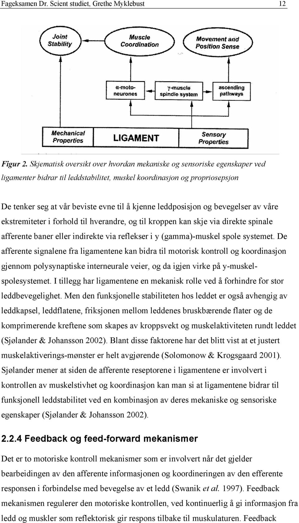 leddposisjon og bevegelser av våre ekstremiteter i forhold til hverandre, og til kroppen kan skje via direkte spinale afferente baner eller indirekte via reflekser i y (gamma)-muskel spole systemet.