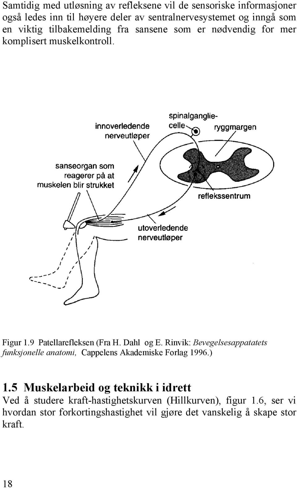 Dahl og E. Rinvik: Bevegelsesappatatets funksjonelle anatomi, Cappelens Akademiske Forlag 1996.) 1.